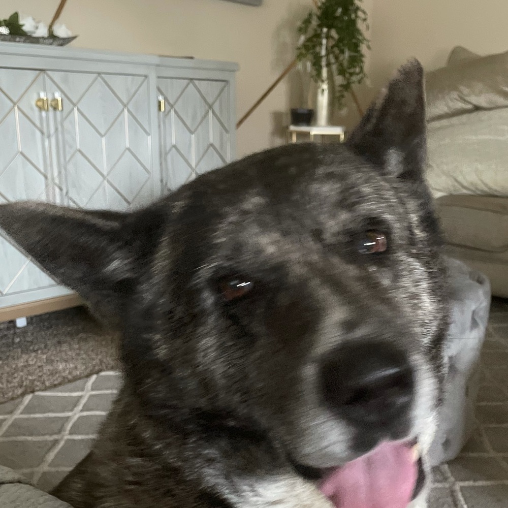 Meet your Posher, Crystal